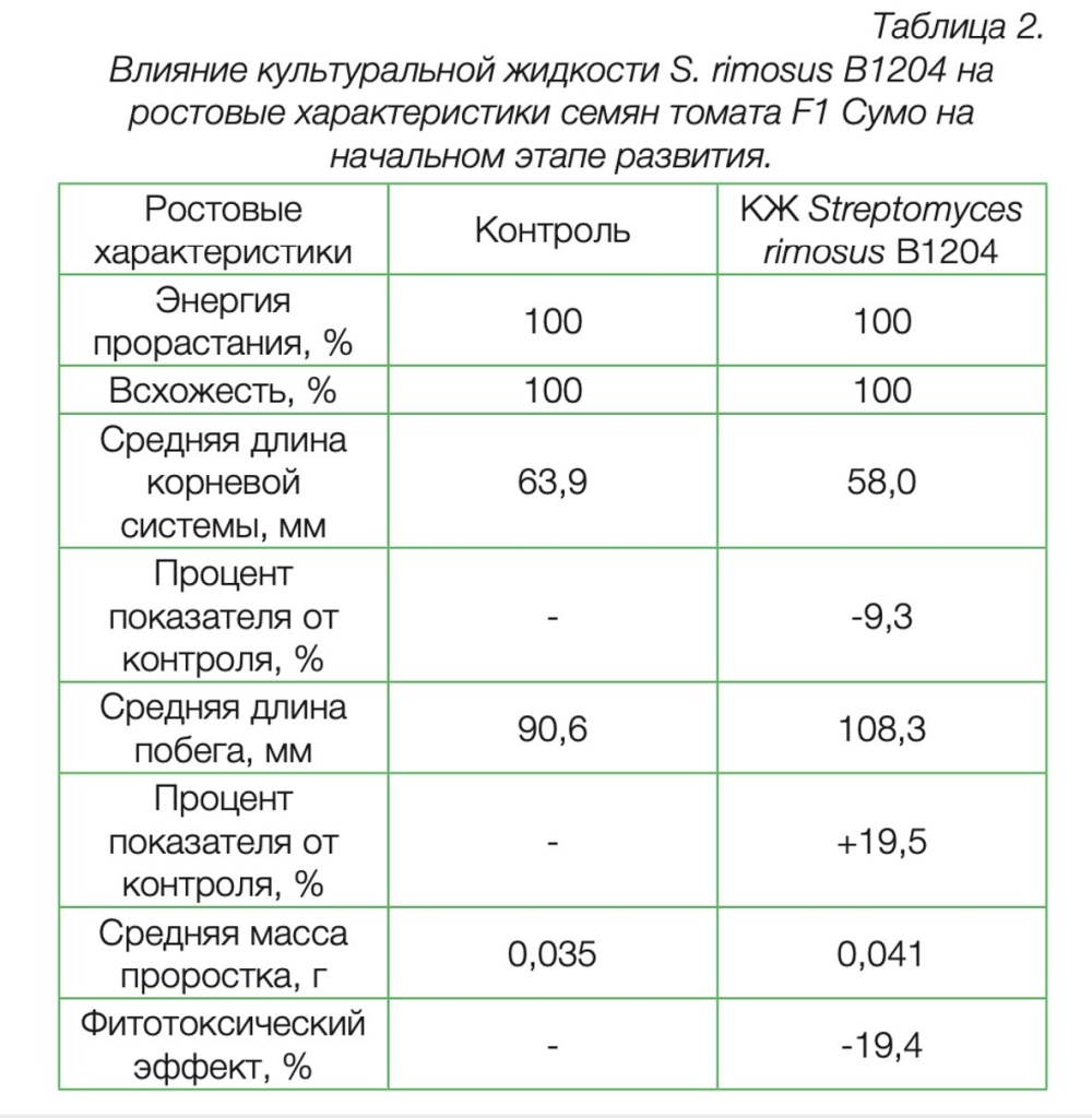 Влияние культуральной жидкости S. rimosus B1204 на ростовые характеристики семян томата F1 Сумо на начальном этапе развития.