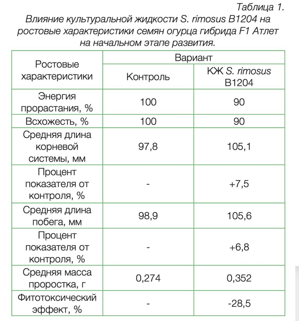 Влияние культуральной жидкости S. rimosus B1204 на ростовые характеристики семян огурца гибрида F1 Атлет на начальном этапе развития