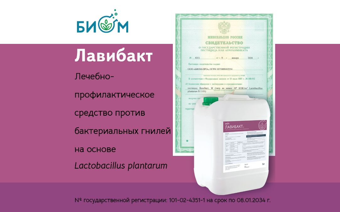 Молочнокислые бактерии в защите растений | BIOM